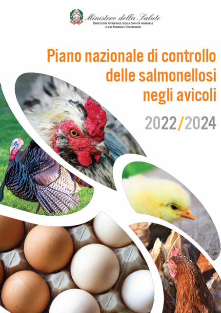 Controllo Salmonelle negli avicoli